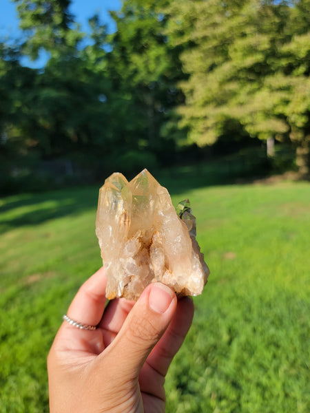 Cathedral Kundalini Citrine Crystal From Congo B