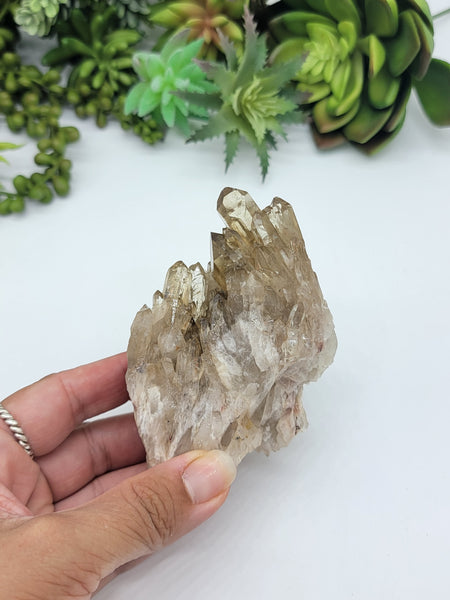 Cathedral Kundalini Citrine Crystal From Congo C