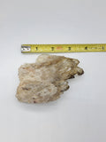 Cathedral Kundalini Citrine Crystal From Congo C