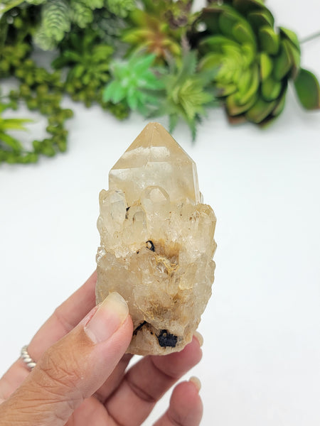 Cathedral Kundalini Citrine Crystal From Congo D