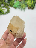 Cathedral Kundalini Citrine Crystal From Congo D