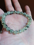 Prehnite Bead Stretch Bracelet 8.5mm Beads