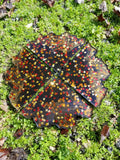 Crystal Infused Resin Coaster Set Fall Leaves