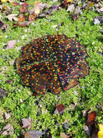 Crystal Infused Resin Coaster Set Fall Leaves