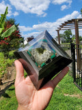 Moldavite and Malachite Seed of Life Orgonite Mediation Pyramid