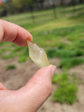 Libyan Desert Glass Libyan Gold Tektite 5.9 Grams