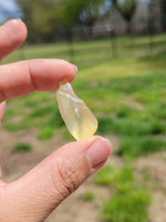 Libyan Desert Glass Libyan Gold Tektite 5.9 Grams