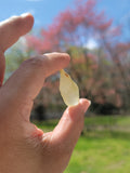 Libyan Desert Glass Libyan Gold Tektite 5.9 Grams