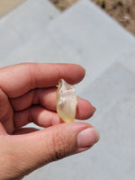 Libyan Desert Glass Libyan Gold Tektite 5.9 Grams