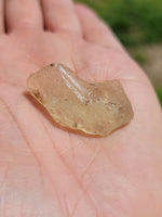 Libyan Desert Glass Libyan Gold Tektite 6.3 Grams