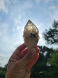 169 gram Cathedral Kundalini Citrine Crystal  A