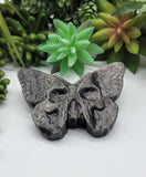 Silver Sheen Obsidian Death Moth Butterfly Skull Carving A